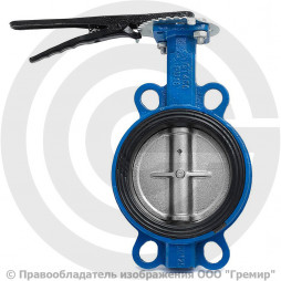 Затвор дисковый поворотный межфланцевый Ду-125 Ру-16 EPDM с чугунным диском Китай