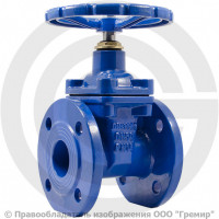 Задвижка чугунная фланцевая Ду-50 Ру-16 (Т<80°С) KR20 АДЛ Гранар Задвижка чугунная фланцевая Ду-50 Ру-16 (Т<80°С) KR20 АДЛ Гранар