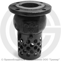 Клапан обратный осевой приемный с сеткой чугунный фланцевый Ду-80 Ру-2,5 (Т<50°С) 16ч42р Луидор Клапан обратный осевой приемный с сеткой чугунный фланцевый Ду-80 Ру-2,5 (Т<50°С) 16ч42р Луидор