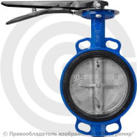 Затвор дисковый поворотный межфланцевый Ду-250 Ру-10/16 EPDM с чугунным диском Китай Затвор дисковый поворотный межфланцевый Ду-250 Ру-10/16 EPDM с чугунным диском Китай