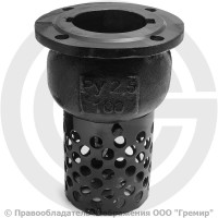 Клапан обратный осевой приемный с сеткой чугунный фланцевый Ду-100 Ру-2,5 (Т<50°С) 16ч42р Луидор Клапан обратный осевой приемный с сеткой чугунный фланцевый Ду-100 Ру-2,5 (Т<50°С) 16ч42р Луидор