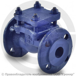 Клапан обратный подъемный чугунный фланцевый Ду-32 Ру-25 (Т<300°С) 16кч9нж Луидор