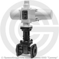 Задвижка чугунная фланцевая Ду-50 Ру-10/16 (Т<225°С) 30ч906бр ЛМЗ с электроприводом ГЗ-А.70/24 (380 В) Задвижка чугунная фланцевая Ду-50 Ру-10/16 (Т<225°С) 30ч906бр ЛМЗ с электроприводом ГЗ-А.70/24 (380 В)