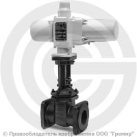 Задвижка чугунная фланцевая Ду-80 Ру-10/16 (Т<225°С) 30ч906бр ЛМЗ с электроприводом ГЗ-А.70/24 (380 В) Задвижка чугунная фланцевая Ду-80 Ру-10/16 (Т<225°С) 30ч906бр ЛМЗ с электроприводом ГЗ-А.70/24 (380 В)