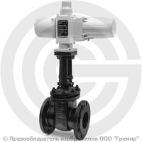 Задвижка чугунная фланцевая Ду-100 Ру-10/16 (Т<225°С) 30ч906бр ЛМЗ с электроприводом ГЗ-А.100/24 (380 В) Задвижка чугунная фланцевая Ду-100 Ру-10/16 (Т<225°С) 30ч906бр ЛМЗ с электроприводом ГЗ-А.100/24 (380 В)