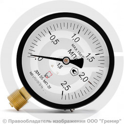 Манометр радиальный диаметр 100мм 0-25 кгс/см2 (0-2,5 МПа) М20х1,5 ДМ05-МП-3У Стеклоприбор