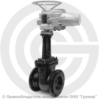 Задвижка чугунная фланцевая Ду-150 Ру-10/16 (Т<225°С) 30ч906бр ЛМЗ с электроприводом ГЗ-А.100/24 (380 В) Задвижка чугунная фланцевая Ду-150 Ру-10/16 (Т<225°С) 30ч906бр ЛМЗ с электроприводом ГЗ-А.100/24 (380 В)