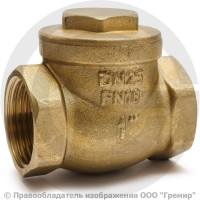 Клапан обратный поворотный латунный Ду-20 (3/4") Ру-16 ВР (ВН) (Т<110°С) латунь N6 Giacomini Клапан обратный поворотный латунный Ду-20 (3/4") Ру-16 ВР (ВН) (Т<110°С) латунь N6 Giacomini