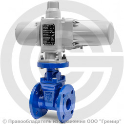 Задвижка чугунная фланцевая Ду-50 Ру-16 (Т<150°С) 30ч939р SL12 ЛМЗ с электроприводом ГЗ-А.70/24 (380 В)