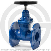 Задвижка чугунная фланцевая Ду-65 Ру-16 (Т<120°С) гайка чугун 30ч39р Китай Задвижка чугунная фланцевая Ду-65 Ру-16 (Т<120°С) гайка чугун 30ч39р Китай