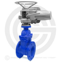 Задвижка чугунная фланцевая Ду-300 Ру-10 (Т<150°С) 30ч939р с электроприводом (380 В)