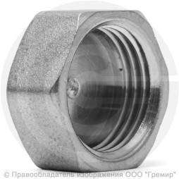 Заглушка латунная ВР (ВН") Ду-15 (1/2") никель LD