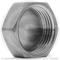 Заглушка латунная ВР (ВН") Ду-25 (1") никель LD Заглушка латунная ВР (ВН") Ду-25 (1") никель LD