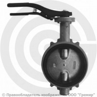 Затвор дисковый поворотный межфланцевый Ду-40 Ру-16 с чугунным диском Giacomini R59W Затвор дисковый поворотный межфланцевый Ду-40 Ру-16 с чугунным диском Giacomini R59W