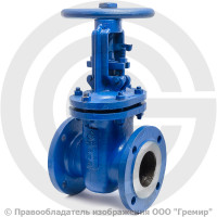 Задвижка стальная фланцевая Ду-250 Ру-16 L=450мм (Т<425°С) 30лс41нж ЧАЗ Задвижка стальная фланцевая Ду-250 Ру-16 L=450мм (Т<425°С) 30лс41нж ЧАЗ