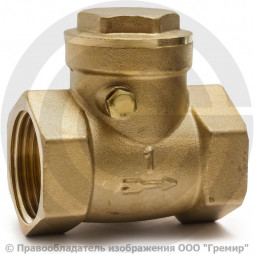 Клапан обратный поворотный латунный Ду-40 (1 1/2") Ру-25 ВР (ВН) (Т<100°С) латунь+EPDM Aquasfera 3004