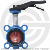 Затвор дисковый поворотный межфланцевый Ду-65 Ру-16 с нержавеющим диском Giacomini R59W Затвор дисковый поворотный межфланцевый Ду-65 Ру-16 с нержавеющим диском Giacomini R59W