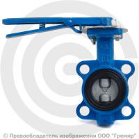 Затвор дисковый поворотный межфланцевый Ду-50 Ру-16 EPDM с чугунным диском ЛМЗ 32ч1р Затвор дисковый поворотный межфланцевый Ду-50 Ру-16 EPDM с чугунным диском ЛМЗ 32ч1р