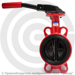 Затвор дисковый поворотный межфланцевый Ду-50 Ру-16 EPDM с чугунным диском АДЛ Гранвэл ЗПВС-FL(W)-MN-E