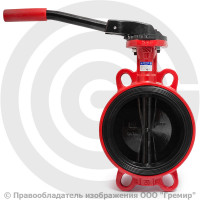 Затвор дисковый поворотный межфланцевый Ду-125 Ру-16 EPDM с чугунным диском АДЛ Гранвэл ЗПВС-FL(W)-MN-E Затвор дисковый поворотный межфланцевый Ду-125 Ру-16 EPDM с чугунным диском АДЛ Гранвэл ЗПВС-FL(W)-MN-E