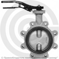 Затвор дисковый поворотный межфланцевый Ду-50 Ру-16 с чугунным диском Giacomini R59FL Затвор дисковый поворотный межфланцевый Ду-50 Ру-16 с чугунным диском Giacomini R59FL