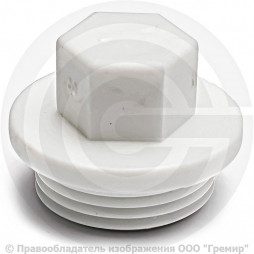 Заглушка (пробка) PP-R белая НР (НАР) Дн 25-3/4" RTP (РосТурПласт)