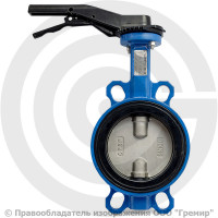 Затвор дисковый поворотный межфланцевый Ду-150 Ру-16 EPDM с нержавеющим диском Tecofi VPI4449-02EP
