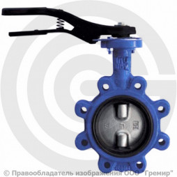 Затвор дисковый поворотный межфланцевый Ду-50 Ру-16 двойной шток с нержавеющим диском Giacomini R59FL